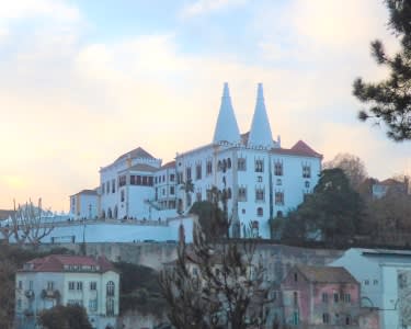 Foto-Safari Sintra-Cascais Foto-Safari Sintra-Cascais