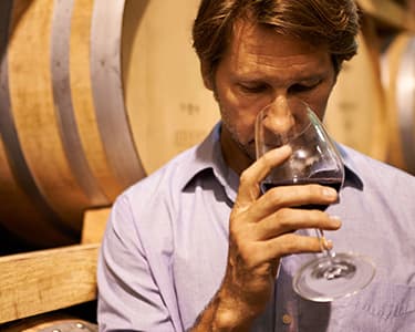 Enóphilo | Workshop Online de Introdução ao Vinho | 2 Pessoas Enóphilo | Workshop Online de Introdução ao Vinho | 2 Pessoas