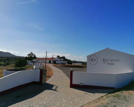 Visita às Vinhas + Prova de 3 Vinhos | Herdade Barranco do Vale Visita às Vinhas + Prova de 3 Vinhos | Herdade Barranco do Vale