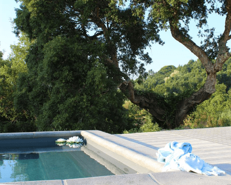 Quinta de Santo António do Cardal | Estadia de 1 Noite Quinta de Santo António do Cardal | Estadia de 1 Noite