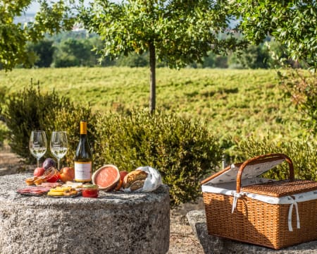 Caminhos Cruzados | Prova de Vinhos + Visita à Adega e Vinha | 2 Pessoas Caminhos Cruzados | Prova de Vinhos + Visita à Adega e Vinha | 2 Pessoas