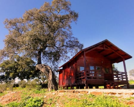 Monte Gois Country House & Spa | Estadia de 1 Noite Monte Gois Country House & Spa | Estadia de 1 Noite