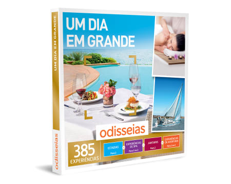 Um Dia em Grande | 385 Experiências