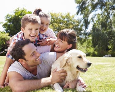 Olhar'te | Sessão Fotográfica Pets & Family | Até 5 Pessoas + Até 2 Animais Olhar'te | Sessão Fotográfica Pets & Family | Até 5 Pessoas + Até 2 Animais