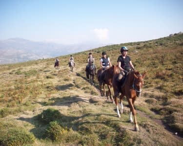 A Cavalo na Floresta A Cavalo na Floresta