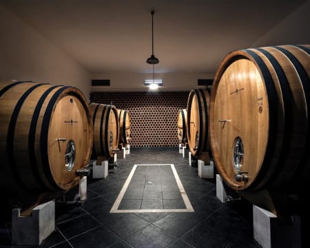 Em Rézio | Visita à Casa Museu Interativa de Borba & Adega de Borba + Prova de Vinhos | 2 Pessoas Em Rézio | Visita à Casa Museu Interativa de Borba & Adega de Borba + Prova de Vinhos | 2 Pessoas