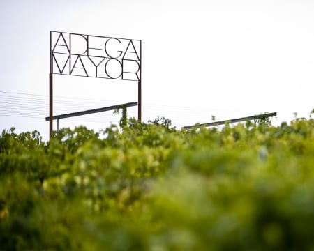 Visita à Adega Mayor com prova de Vinhos de Topo Visita à Adega Mayor com prova de Vinhos de Topo