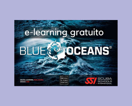 E-learning Sobre Ecologia Marinha | Aprenda a Proteger os Oceanos com o Programa SSI Blue Oceans E-learning Sobre Ecologia Marinha | Aprenda a Proteger os Oceanos com o Programa SSI Blue Oceans