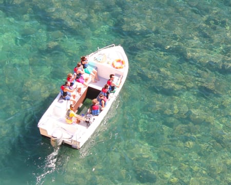 Beach Hut | Observação de Golfinhos e Outras Diversões na Costa do Algarve Beach Hut | Observação de Golfinhos e Outras Diversões na Costa do Algarve