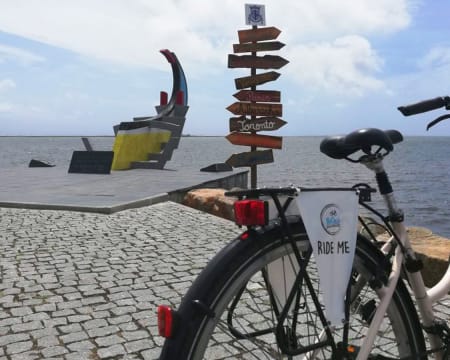 Tour de Bicicleta pela Ria de Aveiro | BeCycle Tour de Bicicleta pela Ria de Aveiro | BeCycle