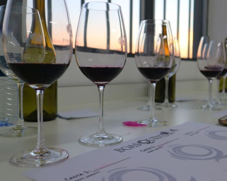 Visita à Adega + Prova Comentada de 5 Vinhos | Boas Quintas Visita à Adega + Prova Comentada de 5 Vinhos | Boas Quintas