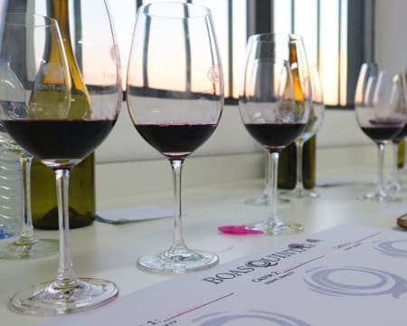 Boas Quintas | Workshop «O Meu Vinho» | 2 Pessoas Boas Quintas | Workshop «O Meu Vinho» | 2 Pessoas