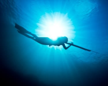 Baptismo Caça Submarina em Tróia ou na Costa a Norte do Cabo Espichel | 4 Horas a Fundo!