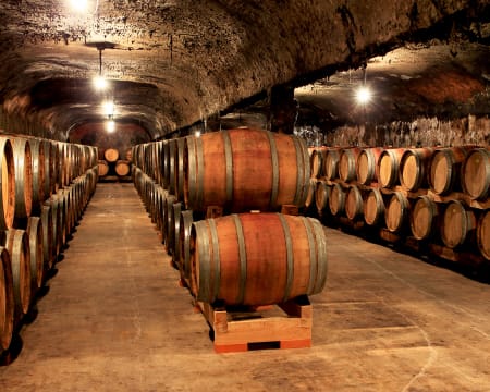 Visita à Propriedade + Prova de 3 Vinhos para Dois | Caves Primavera Visita à Propriedade + Prova de 3 Vinhos para Dois | Caves Primavera
