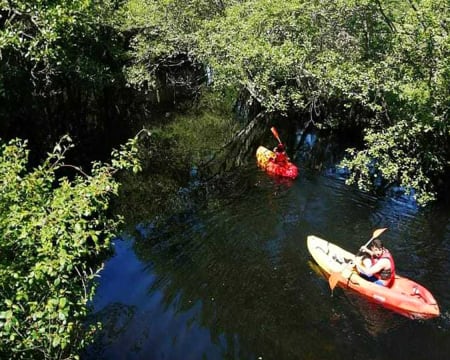 Passeio de Kayak a 2 Passeio de Kayak a 2