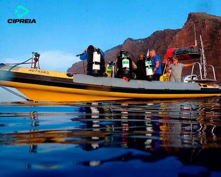 Baptismo de Mergulho no Mar no Funchal ou Porto Santo | Cipreia Baptismo de Mergulho no Mar no Funchal ou Porto Santo | Cipreia