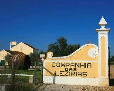 Prova de Vinhos Cincinato para 2 Prova de Vinhos Cincinato para 2