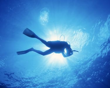 Snorkwalk Snorkwalk