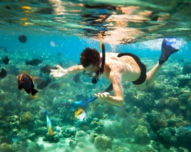Snorkwalk para 2 Snorkwalk para 2