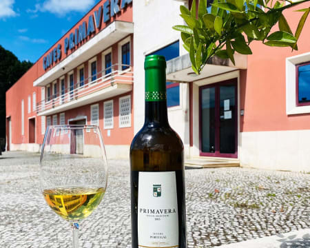 Caves Primavera | Prova de 2 Vinhos | 2 Pessoas