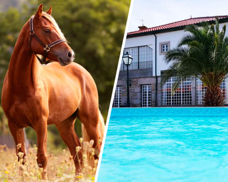 Quinta da Bacelada + Aula Equitação Quinta da Bacelada + Aula Equitação