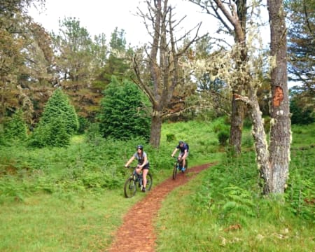 Iniciação à Bicicleta de Montanhismo Iniciação à Bicicleta de Montanhismo