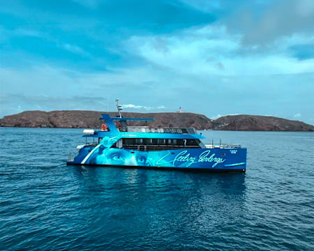 Feeling Berlenga | Passeio de Barco às Berlengas | 2 Adultos
