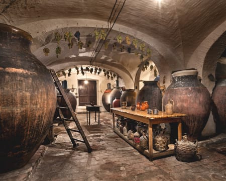 Gerações da Talha | Visita à Adega + Prova de 2 Vinhos | 2 Pessoas