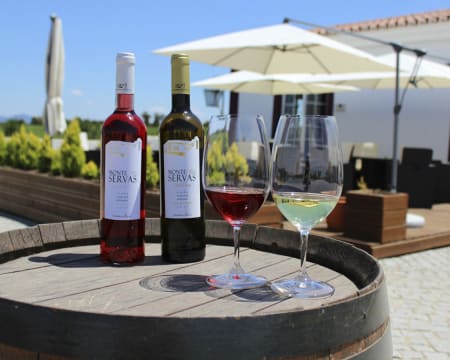 Visita à Vinha + Adega + Cave Envelhecimento + Garrafeira + Prova 4 Vinhos | Herdade das Servas Visita à Vinha + Adega + Cave Envelhecimento + Garrafeira + Prova 4 Vinhos | Herdade das Servas