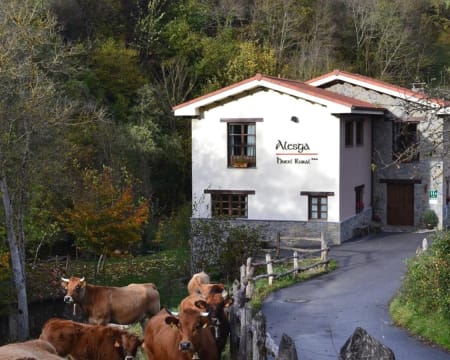 Hotel Rural Alesga | Estadia de 1 Noite Hotel Rural Alesga | Estadia de 1 Noite