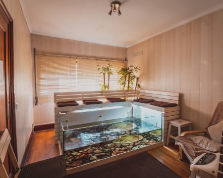 Sessão de Ictioterapia com Peixes Garra Rufa nos Pés | Harmonya Sessão de Ictioterapia com Peixes Garra Rufa nos Pés | Harmonya