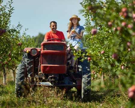 Condução de Tractor com Alfaia Agrícola para 2 Condução de Tractor com Alfaia Agrícola para 2