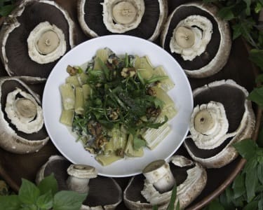 Jardim dos Sentidos | À La Carte Jardim dos Sentidos | À La Carte