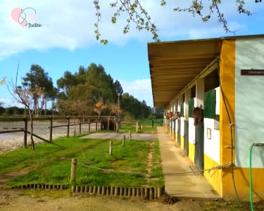 Visita à Quinta e Casa dos Patudos com Actividade Equestre para 2 Visita à Quinta e Casa dos Patudos com Actividade Equestre para 2