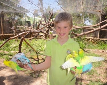2 Entradas no KrazyWorld ZOO 2 Entradas no KrazyWorld ZOO
