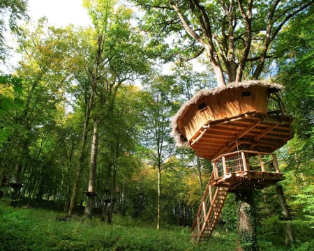 L'Arbre à Cabane | Estadia de 1 Noite L'Arbre à Cabane | Estadia de 1 Noite