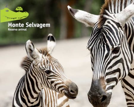 Monte Selvagem | Entrada de 2 Adultos + 1 Criança Monte Selvagem | Entrada de 2 Adultos + 1 Criança