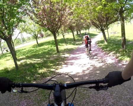 Mountain Bike - Walking & Hiking | Bike Discovering Tour em Guimarães | 2 Pessoas Mountain Bike - Walking & Hiking | Bike Discovering Tour em Guimarães | 2 Pessoas