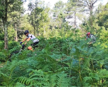 Mountain Bike - Walking & Hiking | BTT Challenge Tour em Guimarães | 2 Pessoas Mountain Bike - Walking & Hiking | BTT Challenge Tour em Guimarães | 2 Pessoas