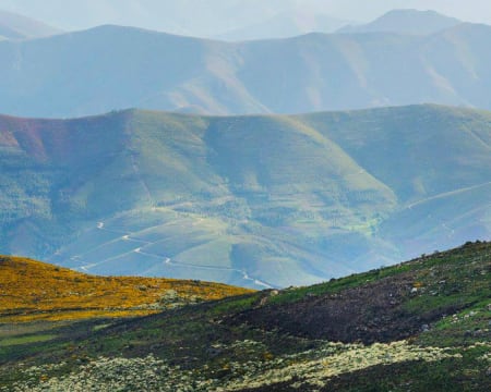 NaTour Way | Visita Guiada à Serra da Freita NaTour Way | Visita Guiada à Serra da Freita