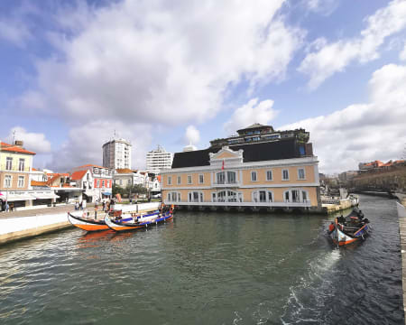 Passeio de Moliceiro na Ria de Aveiro - 2 Adultos + 2 Crianças | Onda Colossal Passeio de Moliceiro na Ria de Aveiro - 2 Adultos + 2 Crianças | Onda Colossal