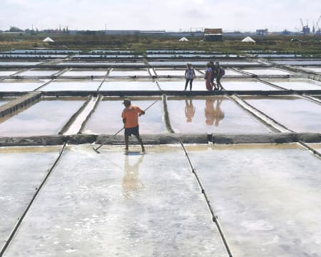 Onda Colossal | Visita Guiada às Salinas de Aveiro | 2 Pessoas Onda Colossal | Visita Guiada às Salinas de Aveiro | 2 Pessoas