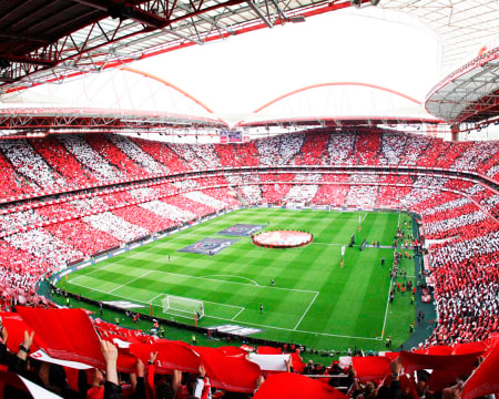 Visita ao Estádio + 1 Cachecol - 2 Adultos + 1 Criança | SLB Visita ao Estádio + 1 Cachecol - 2 Adultos + 1 Criança | SLB