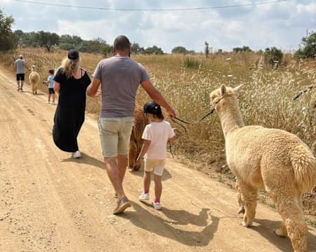 Costaxtreme | Atividades com Alpacas | 2 Pessoas + 1 Criança