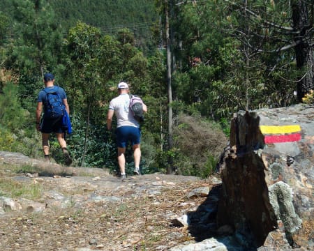 Sport Margens | Passeio Pedestre em Penacova | Até 5 pessoas Sport Margens | Passeio Pedestre em Penacova | Até 5 pessoas