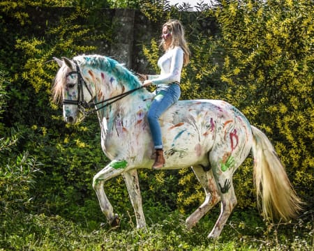 Baptismo a Cavalo no Páteo Lusitano para 2 Baptismo a Cavalo no Páteo Lusitano para 2