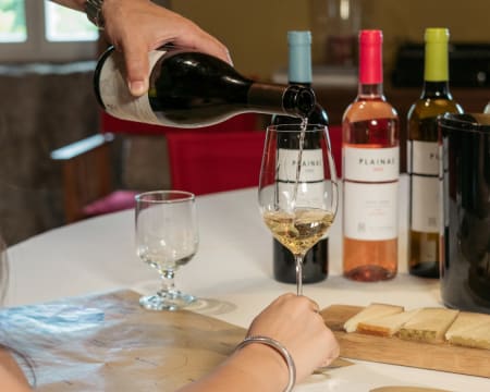 Provas De Vinho Gin E Azeite Com Visitas Guiadas Odisseias
