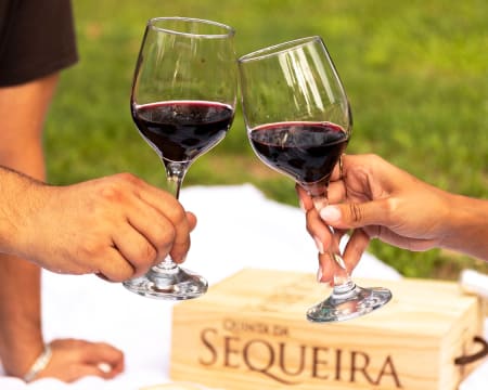 Quinta da Sequeira | Visita à Vinha e à Adega + Prova de Vinho Premium para Dois Quinta da Sequeira | Visita à Vinha e à Adega + Prova de Vinho Premium para Dois