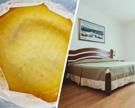 Hotel Quinta dos Cedros | Queijo Serra da Estrela Hotel Quinta dos Cedros | Queijo Serra da Estrela