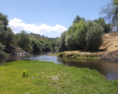 Caminhada pela Natureza Junto ao Rio Zêzere para Dois | Quinta das Minas da Recheira Caminhada pela Natureza Junto ao Rio Zêzere para Dois | Quinta das Minas da Recheira